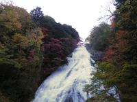 紅葉カヌー♪