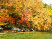 2015.Fall 紅葉の中禅寺湖♪