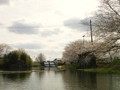 お花見カヌー♪