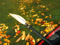 2015.Fall 紅葉の中禅寺湖♪