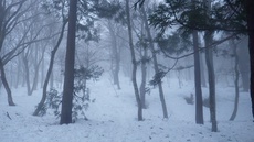 2月怒涛の「山三昧」　～大山編～