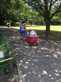 増尾城址公園ＢＢＱ！