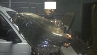 今シーズンのフラット釣行総括