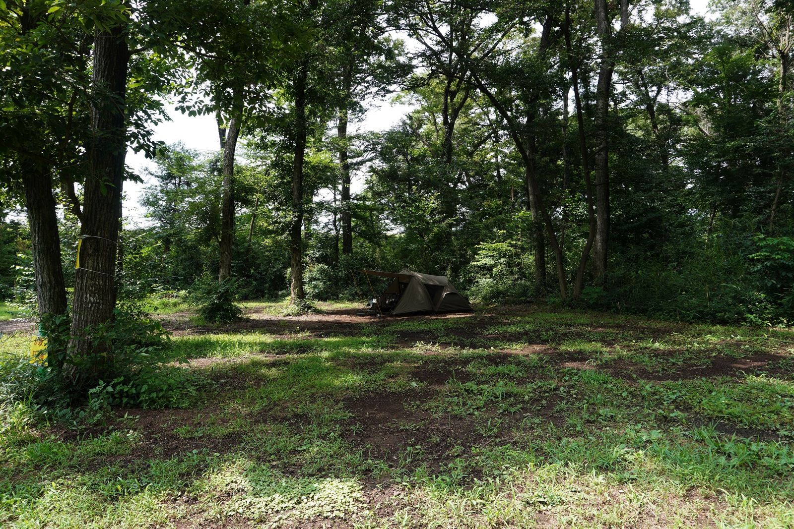 壺中庭園:KIMICAMP KABUTO TENT試し張り兼ソロキャンプ〈智光山