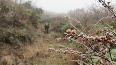 独りで生活しているお父さんを見に行った＆プチ登山＆福島満喫！ 2017/12/13 18:56:38