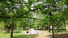 みちのくひとり野営 第４７弾　爽やか野営がまさかのぎっくり腰強行野営に！ 2018/05/22 19:07:55
