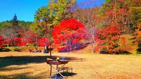 癒されdaycamp 2015/11/03 10:44:54