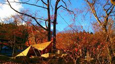 みちのくひとり野営 第５３弾　丸森町不動尊公園キャンプ場 2018/12/11 18:15:15