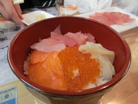 テント持参で突撃 in みちのく  ④