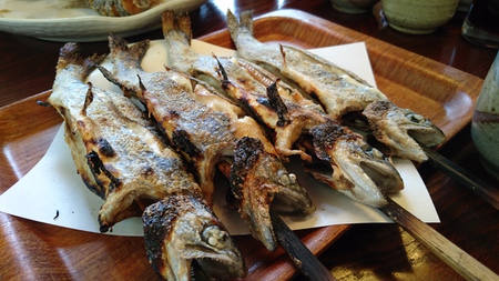 山女魚からの春のスタミナ採集へ