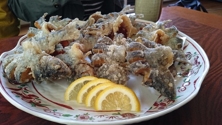 山女魚からの春のスタミナ採集へ