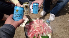 北海道 style 的お花見からの・・・・・ 2017/04/18 20:57:37