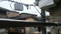 出撃中止(泣)