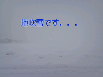 昨日は．．．