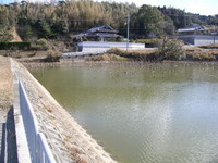 N池