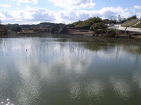 N池