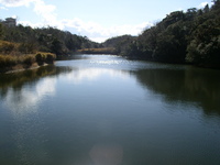 T池(中段)