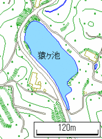 S池