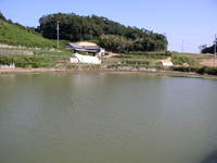 S池