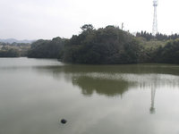 S池