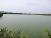 H池