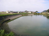 J池