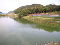 J池