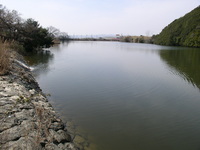 K池