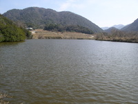 N池