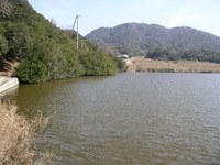 N池
