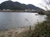 U池