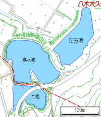 T池・T池・U池