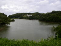 N池