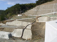 K池(下流・新堤完成側)