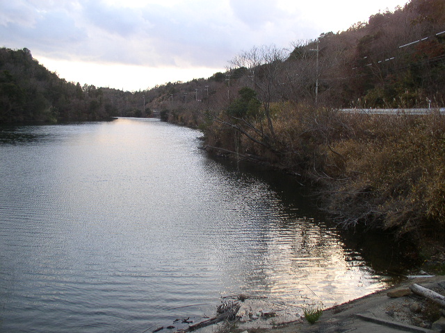 淡路島ため池探検隊:M池(志知奥)