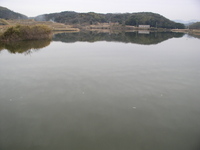 M大池