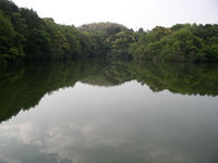 G池(野島常磐)