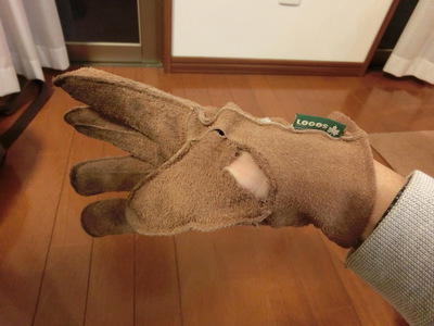 LAPCO　グローブ