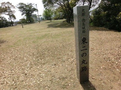 徳島中央公園　城山の鳥