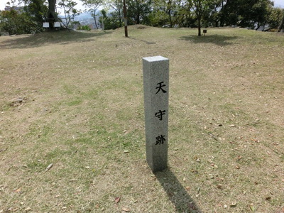 徳島中央公園　城山の鳥