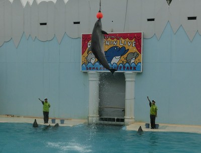 須磨海浜水族園にいってみました