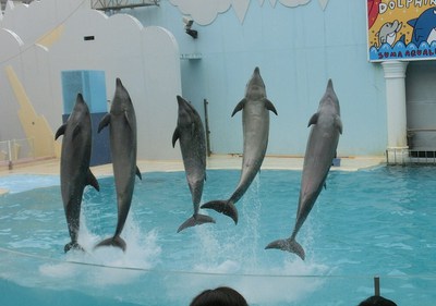 須磨海浜水族園にいってみました