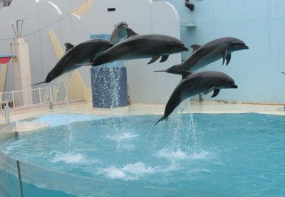 須磨海浜水族園にいってみました