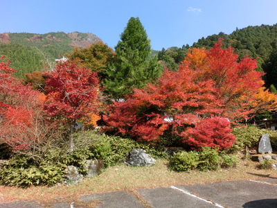 高の瀬峡