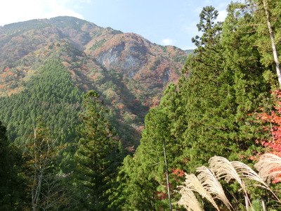 高の瀬峡