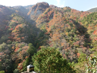 高の瀬峡