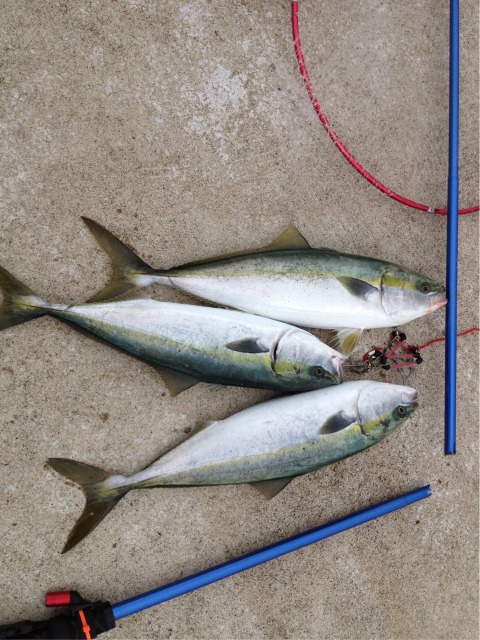 久々の釣果