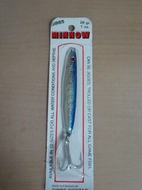 GIBB'S MINNOW 2008/04/28 22:00:00