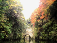 紅葉を前に。。。