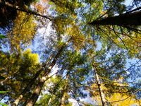 10/16 ～ 10/17  燕岳